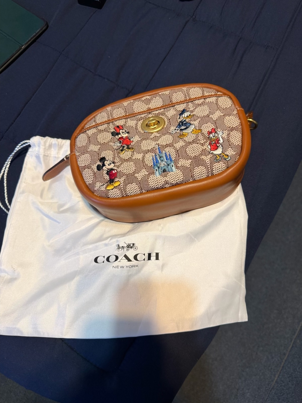 Coach x Disney Crossbody Bag